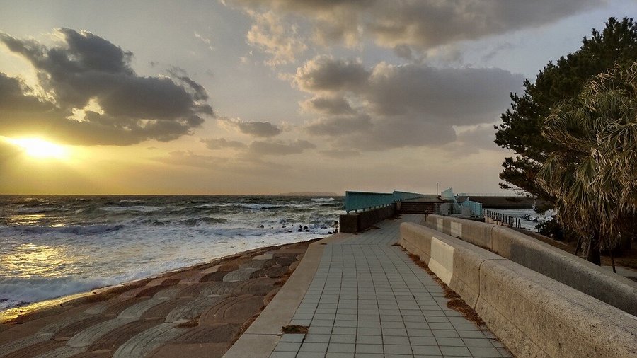 🏞️ 후쿠마 어항 해변공원 (후쿠마교코카이힌코엔) 이미지 4